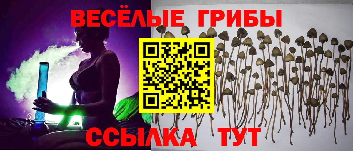 Псилоцибиновые грибы прущие грибы Корсаков