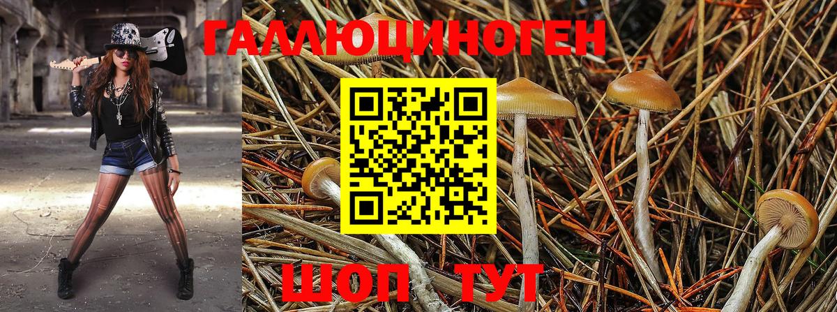 Галлюциногенные грибы Psilocybine cubensis  Вход с VPN  Корсаков 